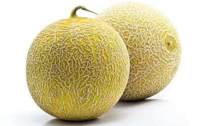 Farm Fresh Cantaloupe Melon
